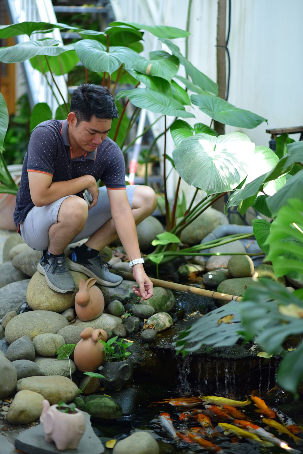 Person feeding koi in a landscaped pond